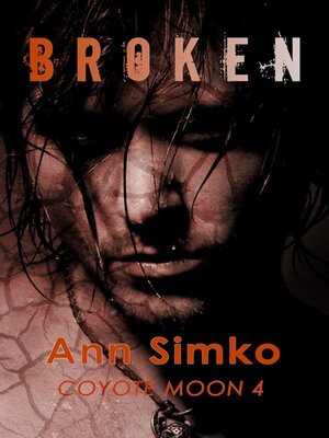cover image of Broken